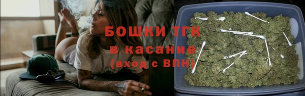 2c-b Дмитриев