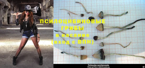 MESCALINE Дмитров